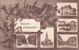 Cpa Ecommoy, Souvenir D'ecommoy, Gui, Houx - Ecommoy