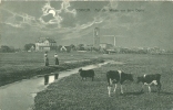 Borkum, Auf Der Wiese Vor Dem Dorfe, Um 1910/20 - Borkum