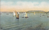 Cpa Palmouth, The Harbour, Voiliers - Falmouth