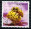 ALLEMAGNE  2010  ABEILLE   BEE    TB - Honeybees