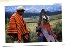 CPM - ECUADOR - AMBATO - Indigena Tocando El Arpa - Indiginist Playing The Harp - Indigène Jouant De La Harpe - Ecuador