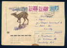 PS8954 / ANIMALS Sikhote-Alin Nature  Musk Deer  1970 Stationery Entier Russia Russie - Selvaggina