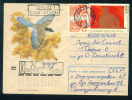 PS8955 / ANIMALS The Azure-winged Magpie (Cyanopica Cyanus) Bird 1970 LENIN  Stationery Entier Russia Russie - Spechten En Klimvogels