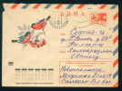 PS8959 / ANIMALS The Sparrows Are A Family Of Small Passerine Birds, 1973 Stationery Entier Russia Russie - Passeri