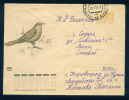 PS8960 / ANIMALS  Bird 1973 Stationery Entier Russia Russie - Duiven En Duifachtigen