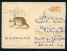 PS8962 / ANIMALS  1974 Stationery Entier Russia Russie - Other & Unclassified