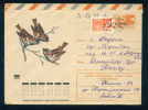 PS8966 / ANIMALS The Sparrows Are A Family Of Small Passerine Birds 1974 Stationery Entier Russia Russie - Sparrows