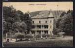 69 - Brignais - Chateau Montaland - Brignais