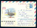 PS8978 / ANIMALS PROTECTED Animals And Birds - The Emperor Goose (Chen Canagica) - 1978 Stationery Entier Russia Russie - Gänsevögel