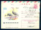 PS8982 / ANIMALS PROTECTED Animals And Birds The White-naped Crane (Grus Vipio) - 1978 Stationery Entier Russia Russie - Cigognes & échassiers