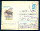 PS8998 / ANIMALS The Moose (North America) Or Eurasian Elk (Europe) 1981  Stationery Entier Russia Russie - Selvaggina