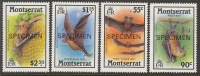Montserrat 1988 Bats Speciment Set Of 4 MNH - Bats