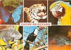 Faune De GUYANE , * M 14 07 - Autres & Non Classés