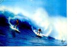 SURFING SUR L OECEAN SURF  PLANCHE CIBOURE  1980 - Water-skiing