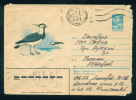 PS9002 /  ANIMALS - The Northern Lapwing (Vanellus Vanellus), 1983 Stationery Entier Russia Russie - Storchenvögel