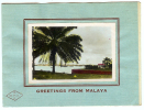 Malaya - Greetings From Malaya Folded Greeting Card Round Year 1925 - Malaysia