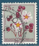 Congo Belge N°309 - 75c Ochna - Oblitéré - Oblitérés