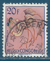 Congo Belge N°321 - 20F Aristolochia - Oblitéré - Used Stamps