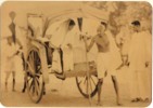 Mahatma Gandhi, Cow Cart, Vehicle, Picture Postcard, India As Scan - Mahatma Gandhi