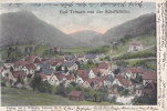 LITHO: Bad Teinach, Krs. Calw, Blick Von Der Scheffelhöhe, Stempel: Wildberg 30.DEZ 1915 - Calw