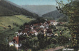 Bad Teinach, Ansicht, Stempel: Teinach , 10.SEP 1910 - Calw