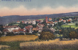 LITHO: Schömberg, Krs. Calw, Gesamtansicht, Um 1910 - Calw