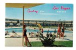 LAS VEGAS : "The Dunes Hotel - Greeting From Las Vega Nevada" - V° Relatant Le Décés D'un Chat - Las Vegas