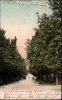 ! Adelaide , Frome Road, South Australia 1906, Autralien, Altona - Adelaide