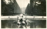 Austria - Vienna - Wien, XII. Schonbrunn, Nymphenbrunnen / Nymph Fountain [RPPC Real Photographic Postcard] - Schönbrunn Palace