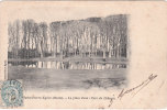 SAINT-PIERRE-EGLISE   -   La Pièce D'eau : Parc Du Château - Saint Pierre Eglise