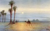 Egypt - Moonlight Scene Near The Pyramids Of Giza. (stained At Back) [CPM Postcard] - Guiza