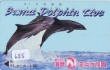 Télécarte Japon * DAUPHIN * DOLPHIN (688) Japan Phonecard * DELPHIN * GOLFINO * DOLFIJN * - Delfines