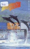 Télécarte Japon * DAUPHIN * DOLPHIN (710) Japan Phonecard * DELPHIN * GOLFINO * DOLFIJN * - Delfines