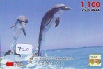 Carte Prépayée  Japon  * DAUPHIN * DOLPHIN (729) Japan PREPAID CARD * DELPHIN * GOLFINO * DOLFIJN * - Delfines
