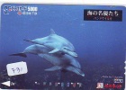 Carte Prépayée  Japon  * DAUPHIN * DOLPHIN (731) Japan PREPAID CARD * DELPHIN * GOLFINO * DOLFIJN * - Delfines