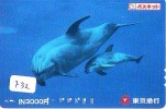 Carte Prépayée  Japon  * DAUPHIN * DOLPHIN (732) Japan PREPAID CARD * DELPHIN * GOLFINO * DOLFIJN * - Delfines