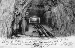 Jungfraubahn Station Eigerwald 1900 - Wald