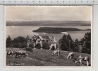 Hotel Pension De L'Ours - Prêles - Vue Sur L'Île St.-Pierre - Prêles