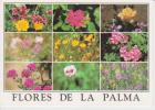 (AKR367) LA PALMA. FLORES. FLOWERS. FLEURS - La Palma