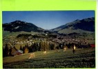 Suisse - Gstaad - Hornberg, Gifferhorn, Wasserngrat - Gstaad