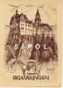 Sigmaringen  Schloss  Von Norden Par Viktor Arnaud ( Résidence  De Laval Et Du Mal Pétain De 1944à1945 - Sigmaringen