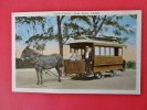 - Florida > Palm Beach   Horse Drawn Trolley  L   Vintage Wb=   ====    = Ref 511 - Palm Beach