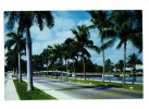 B66667 Las Olas Boulevard In Fort Lauderdale Florida  Used Good   Shape Back Scan At Request - Fort Lauderdale