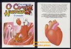 Livre Book Livro Era Uma Vez O Corpo Humano N° 7 Il étatit Une Fois Ouvrage En Portugais 1991 O Coração Le Coeur - Comics & Mangas (other Languages)