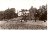 LE CHASTELAD ,HAUTERIVES COLONIE DIRIGEE PAR LES DE ST VINCENT DE PAUL DE CHATENAY-MALABRY (VACHES)  REF 26863 - Hauterives