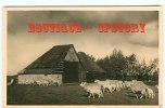 NETHERLANDS - TEXEL - Schapenboet Bij De Waal - Troupeau De Moutons - Ferme Bergerie - Farm - Nederland - Dos Scané - Texel