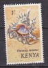 B0192 - KENYA Yv N°43 ** COQUILLAGE SHELLS - Kenia (1963-...)