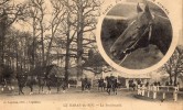 61 LE HARAS DU PIN - La Promenade - Tibère étalon De Pur Sang Anglais - Autres & Non Classés