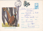 PHEASAN, 1974, COVER STATIONERY, ENTIER POSTAL, SENT TO MAIL, ROMANIA - Hühnervögel & Fasanen