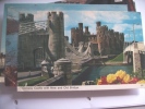 Unitid Kingdom Wales Conwy Castle And Environment - Sonstige & Ohne Zuordnung